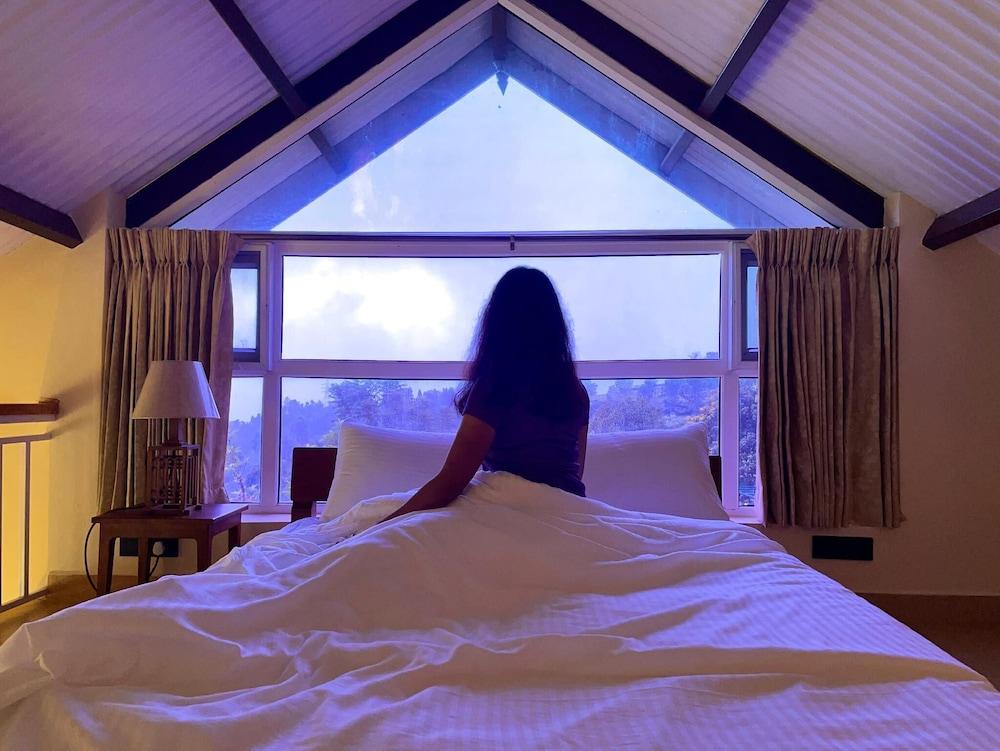 Teanest Nightingale - Nature Resorts