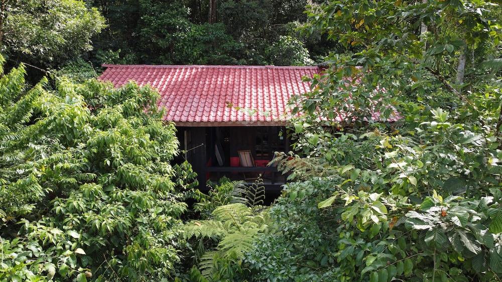 Yatama Ecolodge Sarapiqui