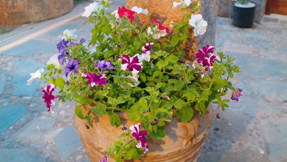 Camelot Royal Beds by Estia