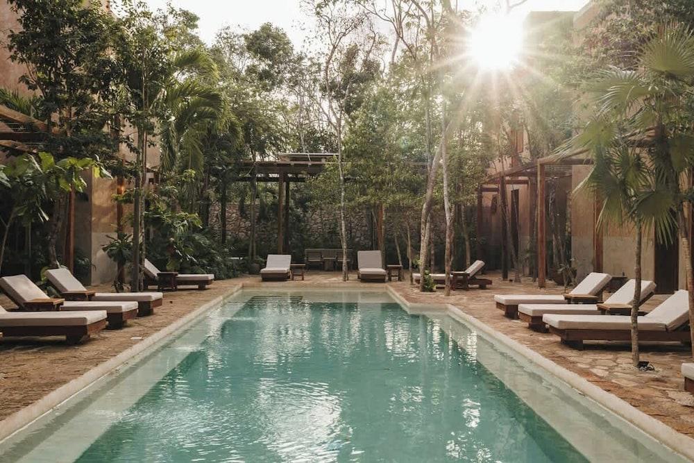 Villa Serenidad Garden Terrace Rooftop Pool