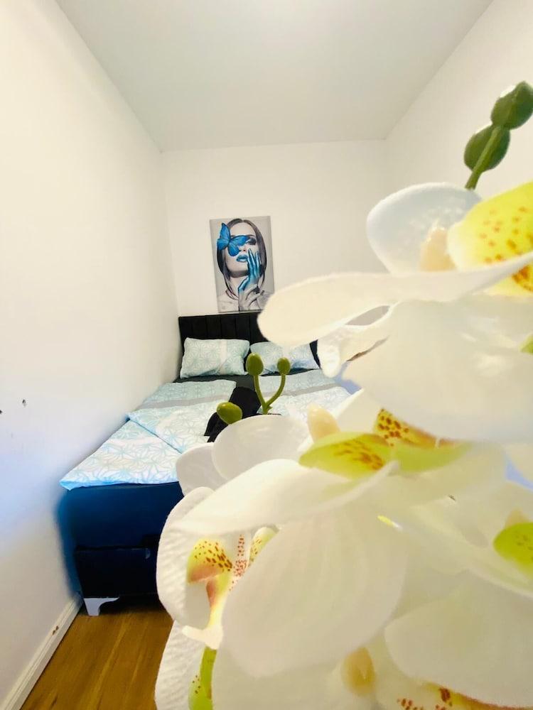 Spacious 4BR for 15 & 15 Min to Danube