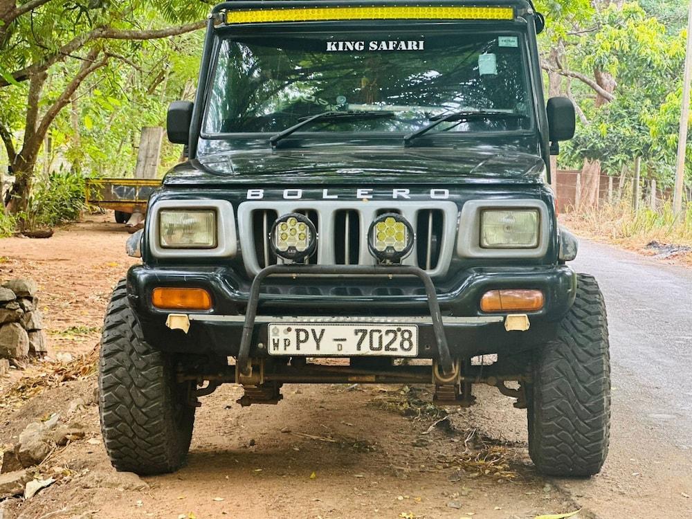 Elephant Safari from Sigiriya