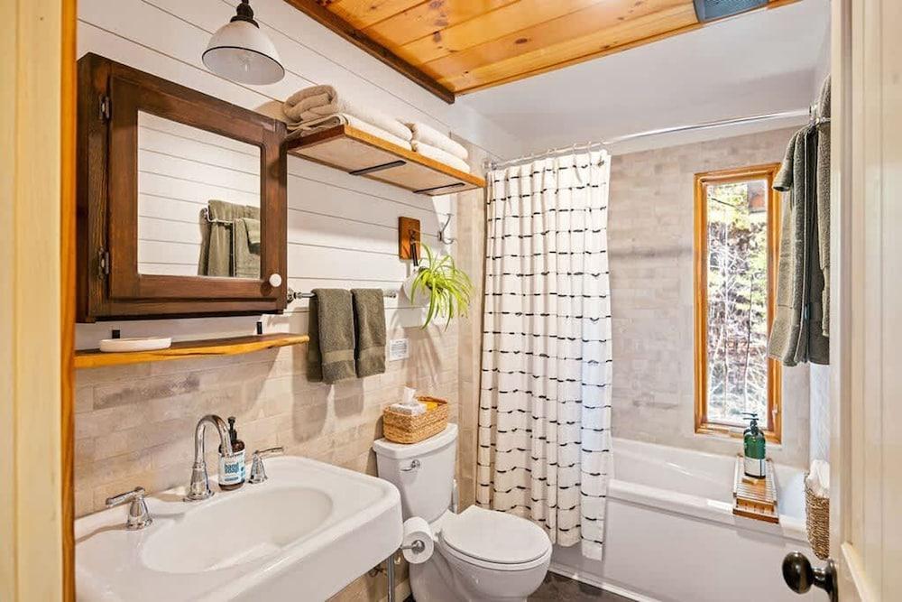 Blue Ridge Beech Cabin