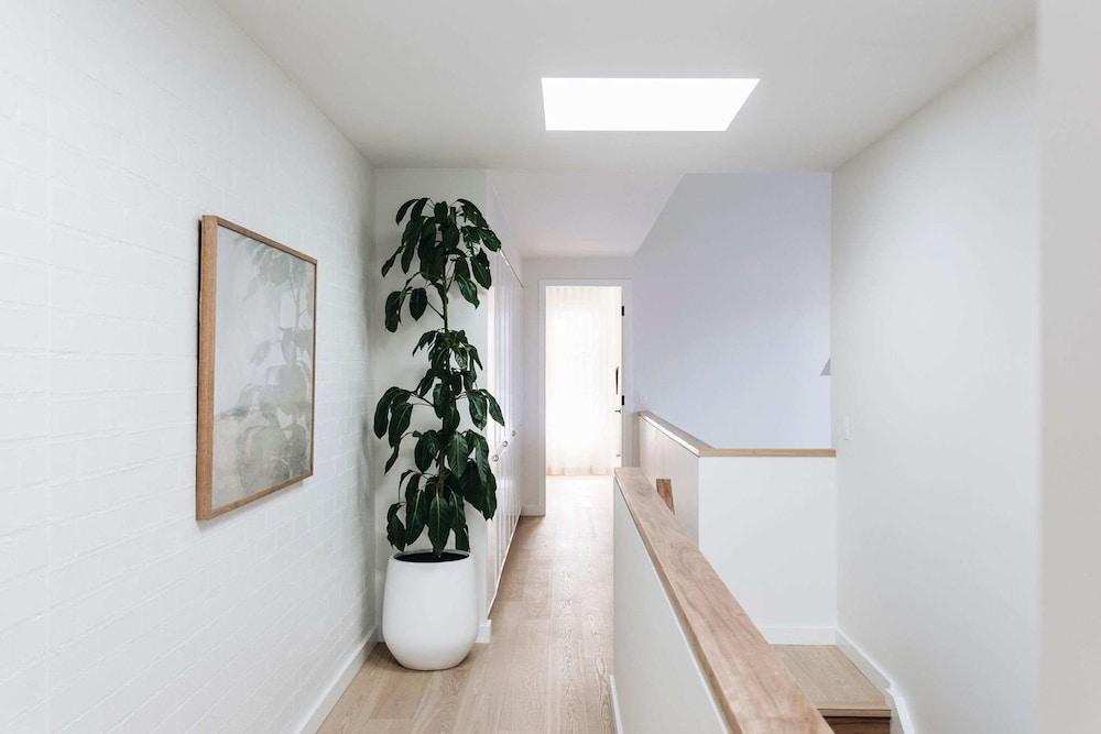 Rubus Pink Berry - by Linnaeus Collection