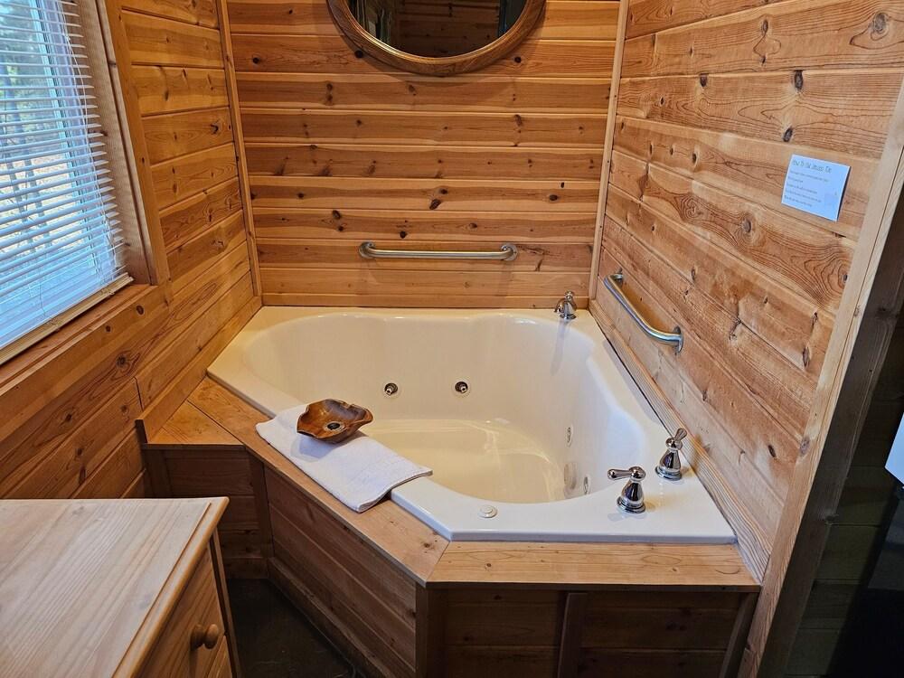 Honey Bear Haven Suite 4