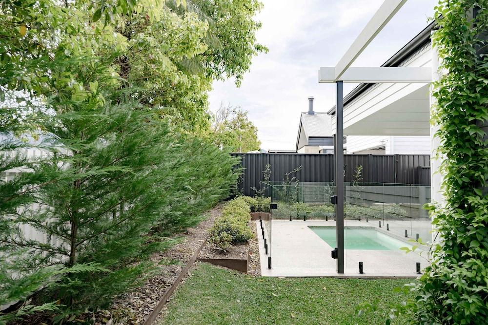 Maple on Albert Berry - by Linnaeus Collection