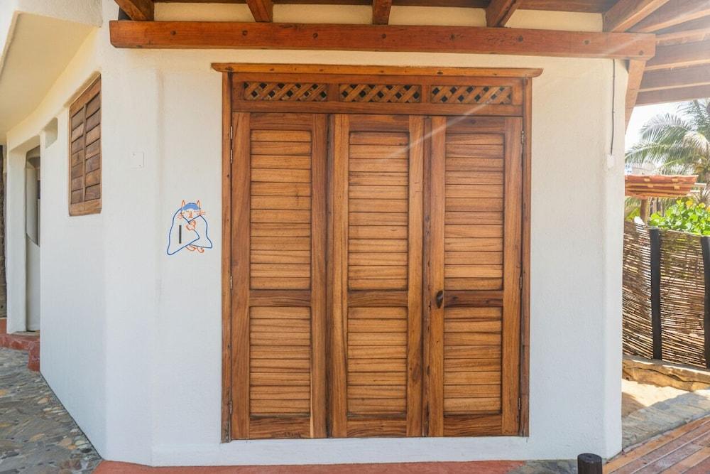 Il Gatto Rosso - Adults Only