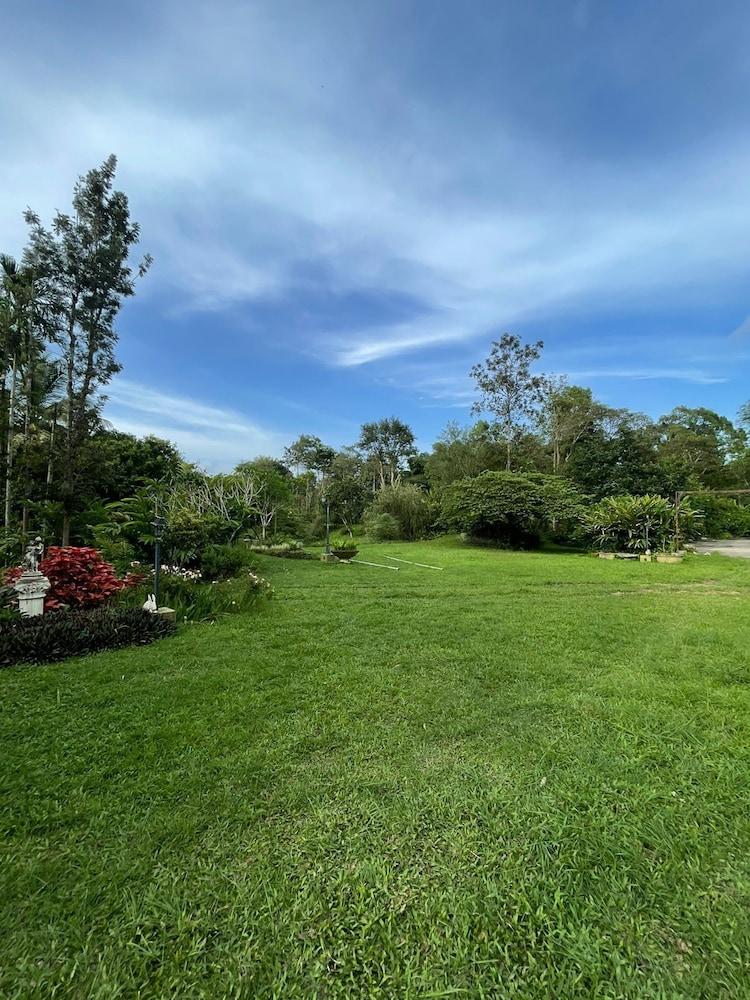 The Grand Oak By TERASTAY