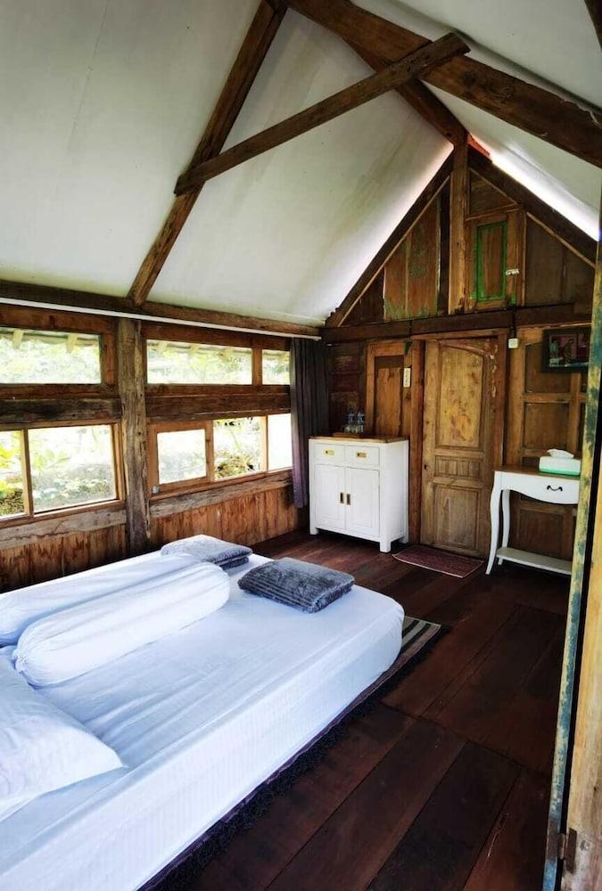 Homestay Ijen Lemonhouse