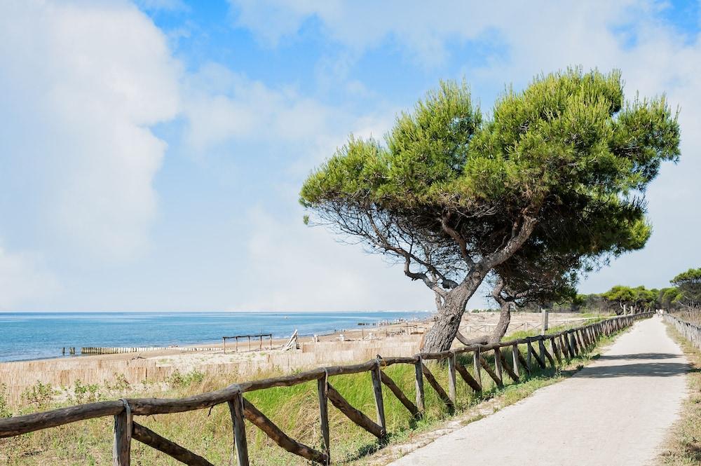 Apartment in a Villa With Garden