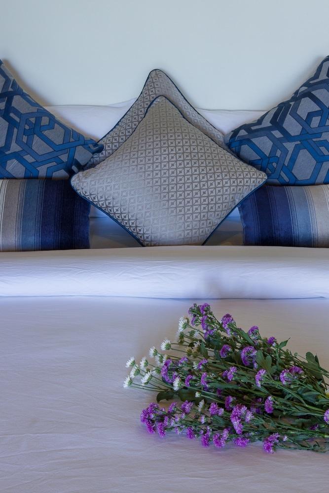 Tea Plant Nuwara Eliya