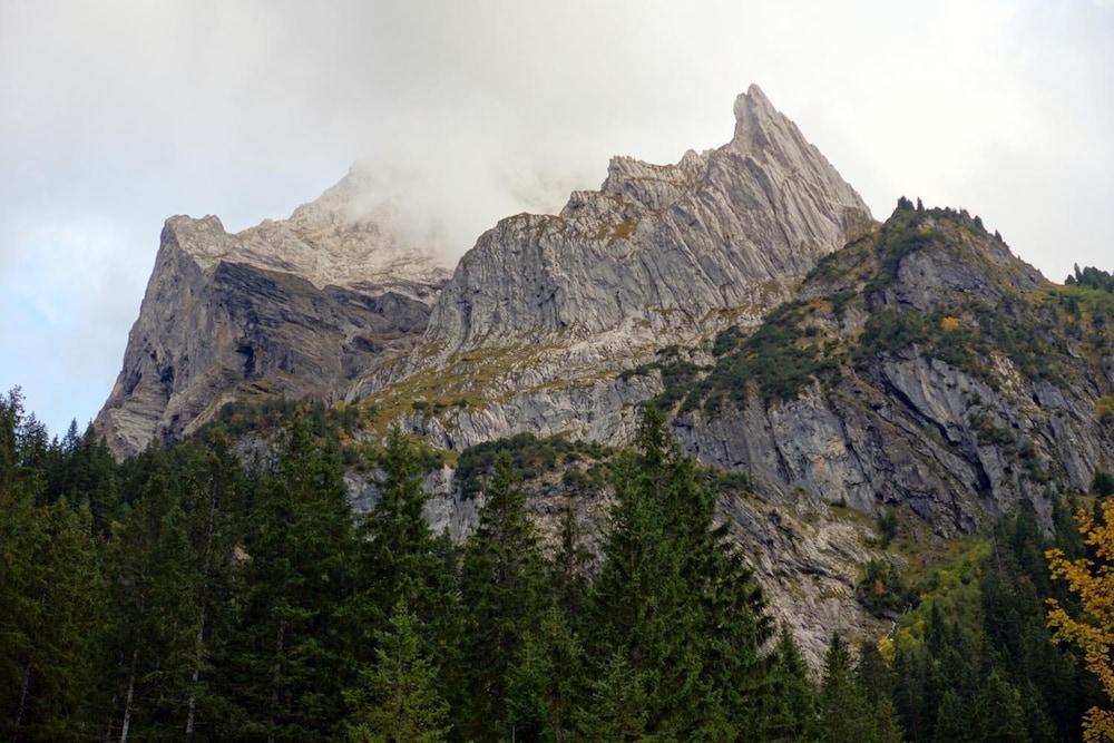 Hotel & Restaurant Alpenrose