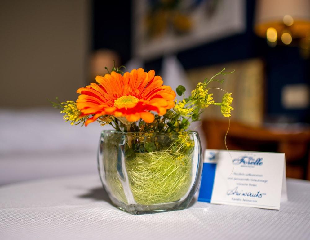 Seeglück Hotel Forelle Superior