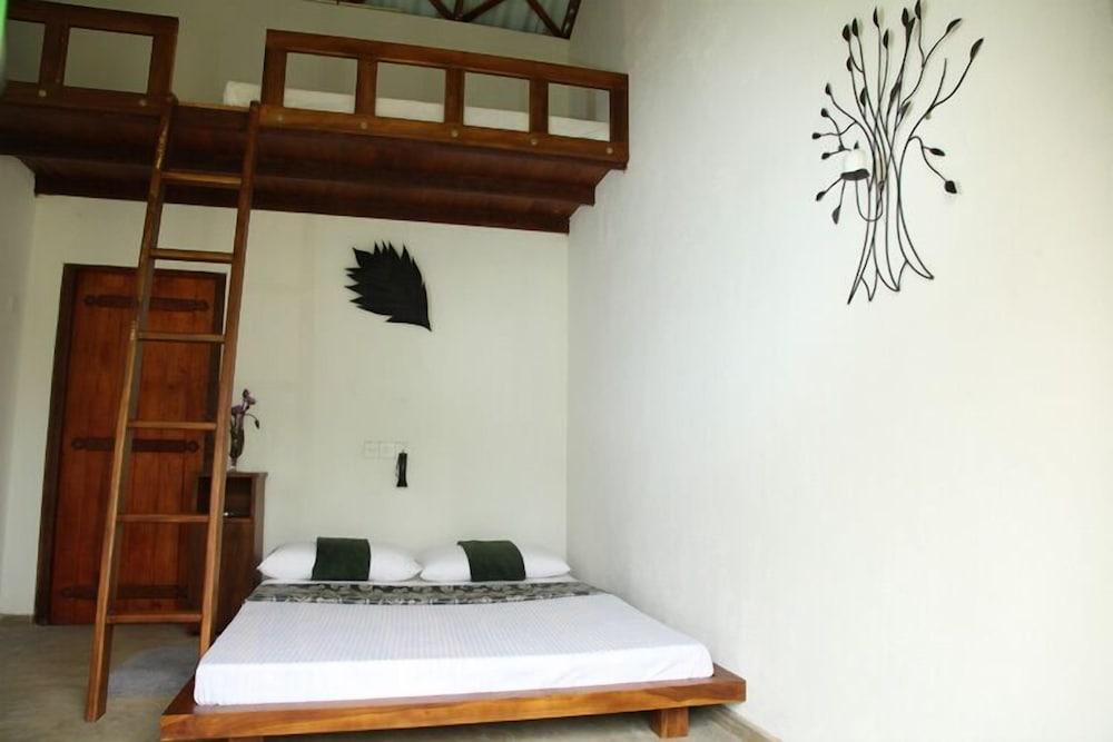 Sinharaja Forest Edge