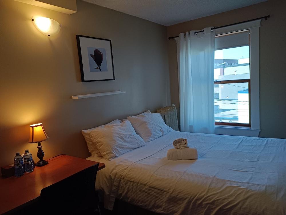 Painted Turtle Guesthouse (Hostel)