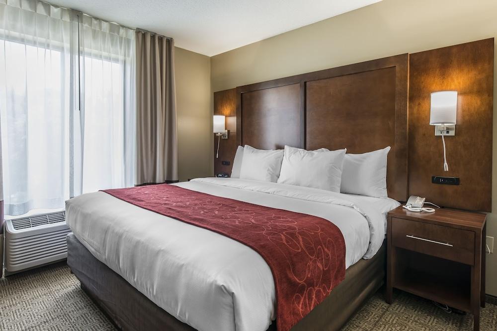 Comfort Suites Dunnellon near Rainbow Springs