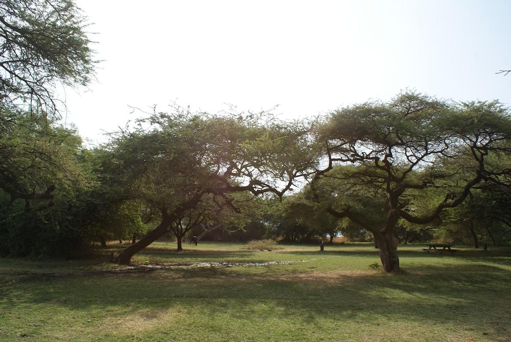 Lake Natron Tented Camp