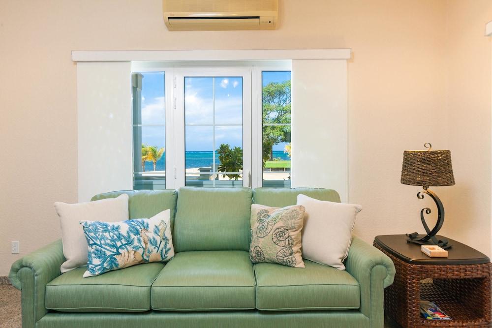 Lawson Rock Angelfish 100