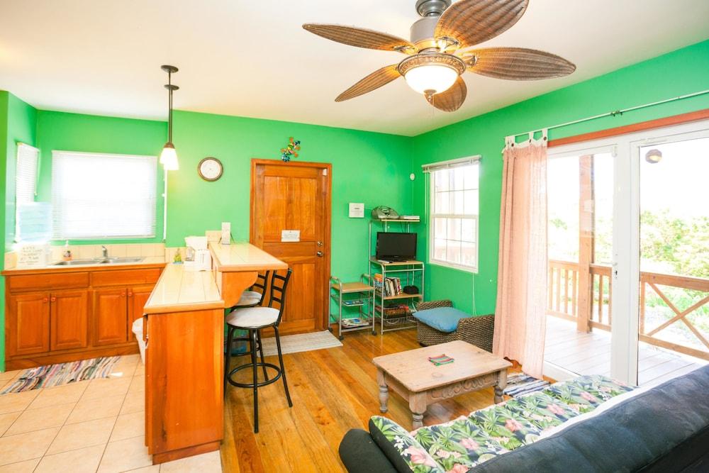 Tree House on Linda Vista Drive