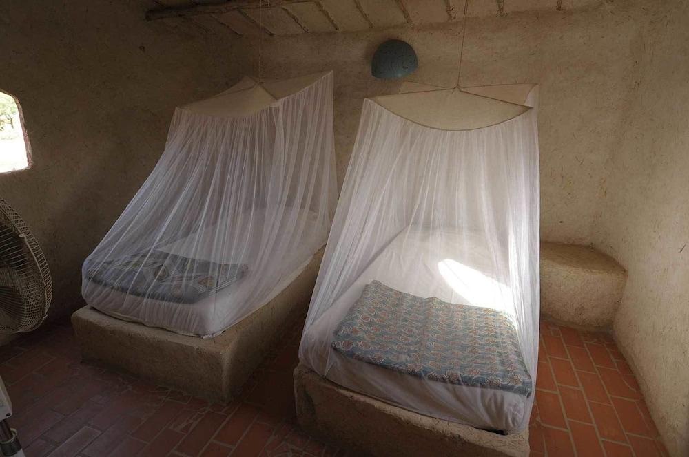 Ecolodge de Palmarin