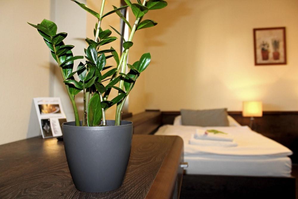 Penzión & Wellness Zoborská