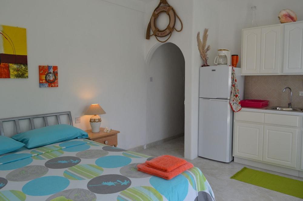 Tropical Gecko Studio