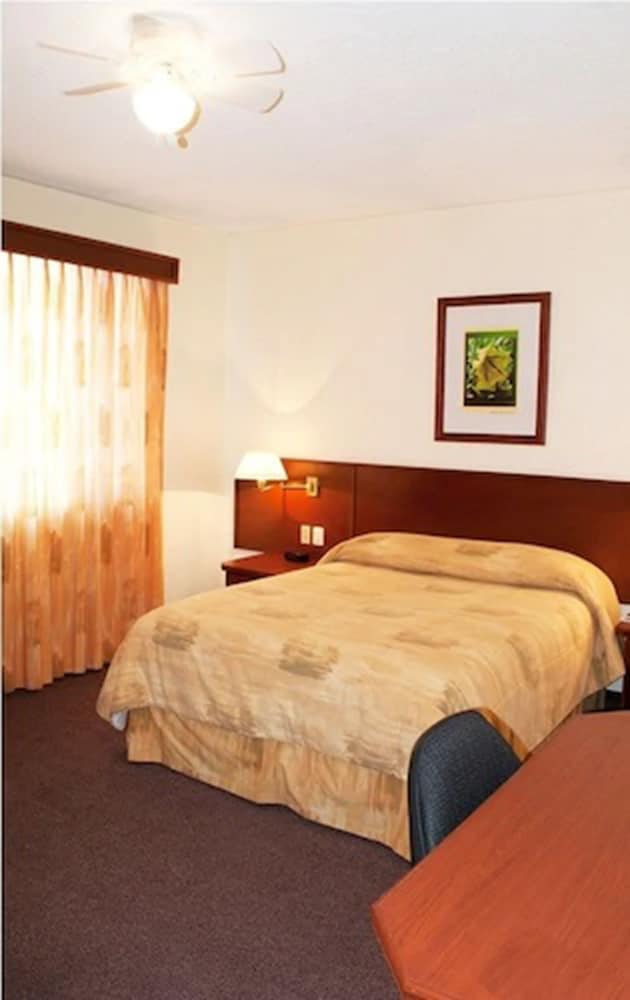 Hotel Marcella Clase Ejecutiva