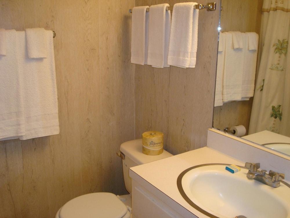 Serene Seashell 508BH