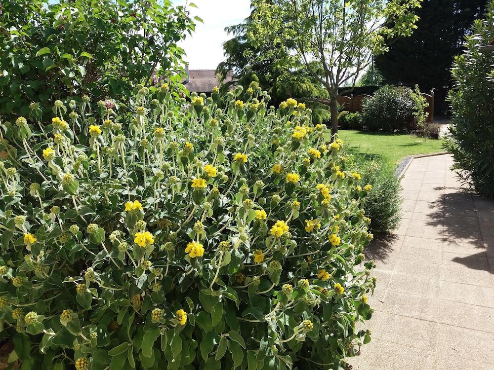 Hotel Le Mas Del Pechs