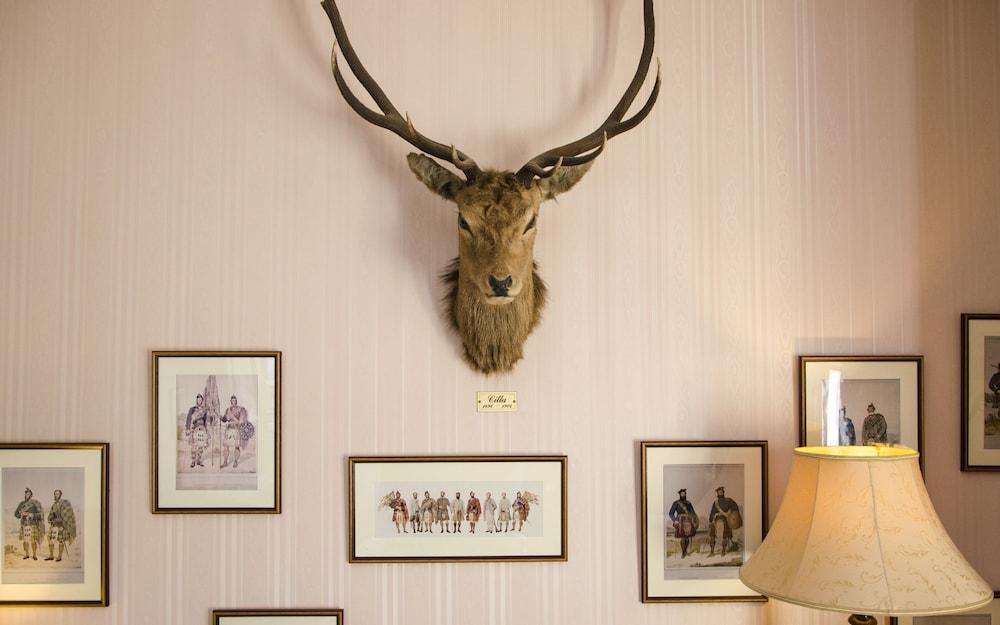 Ravenscourt Guest House