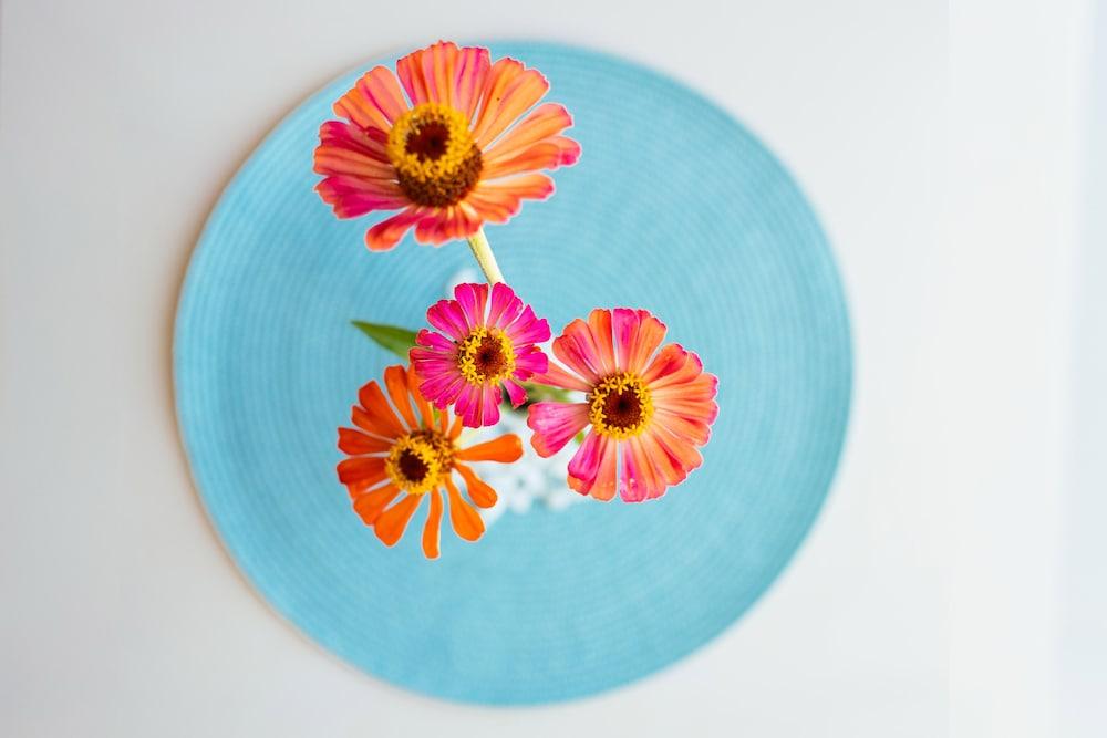 Sea View Luxury Apartments