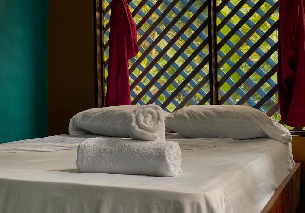 Los Amigos Jungle Hotel Tortuguero