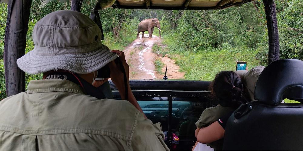 Explorer by Eco Team - Bundala