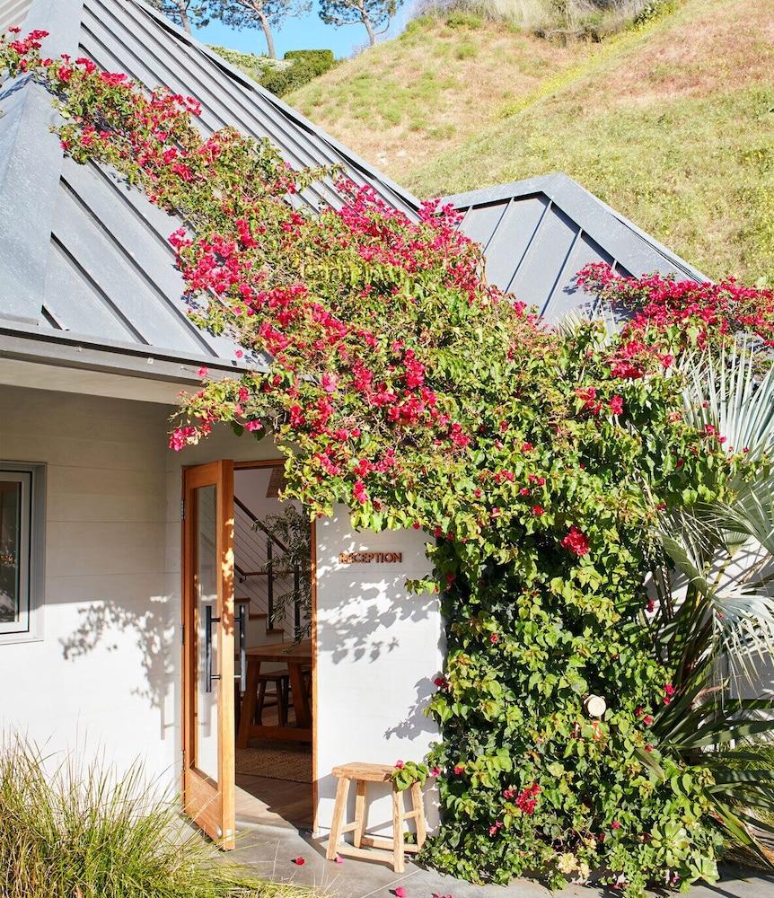 The Surfrider Malibu