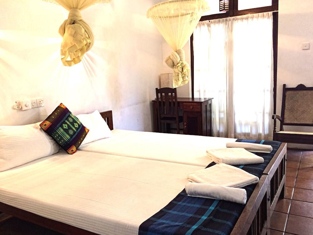 Turtles Rest and Curry Bowl