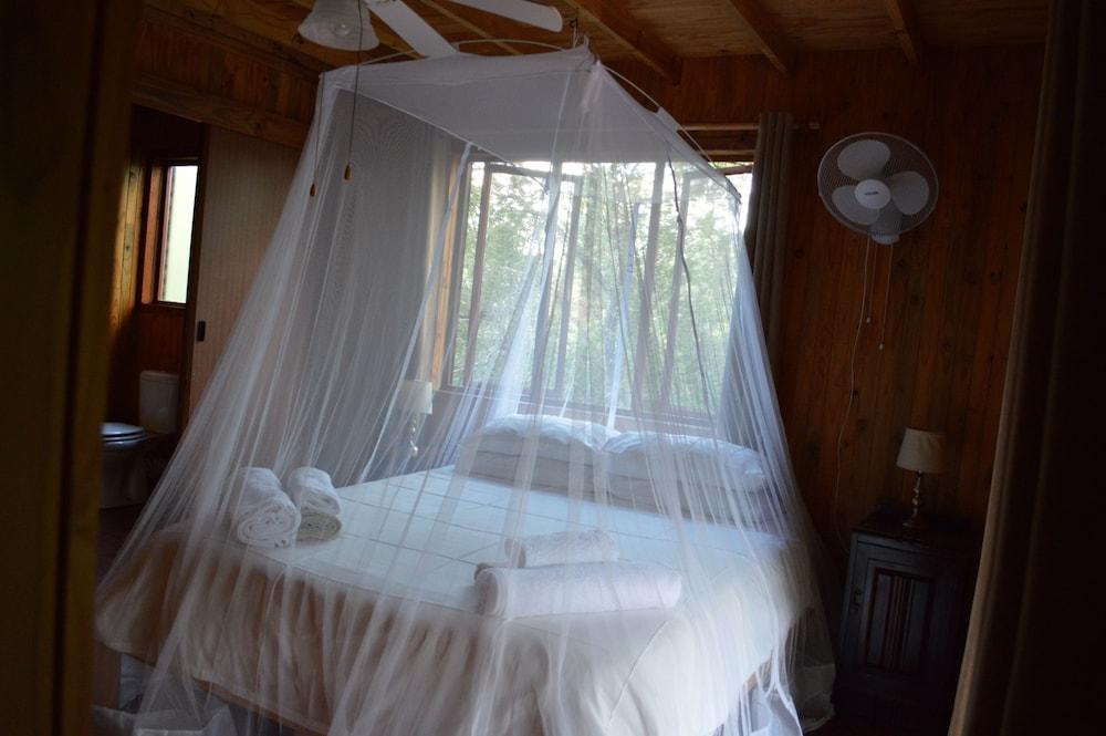 Lion Tree Bush Lodge