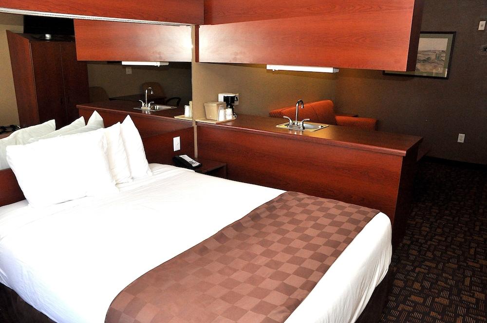 Microtel Inn & Suites by Wyndham Lithonia/Stone Mountain