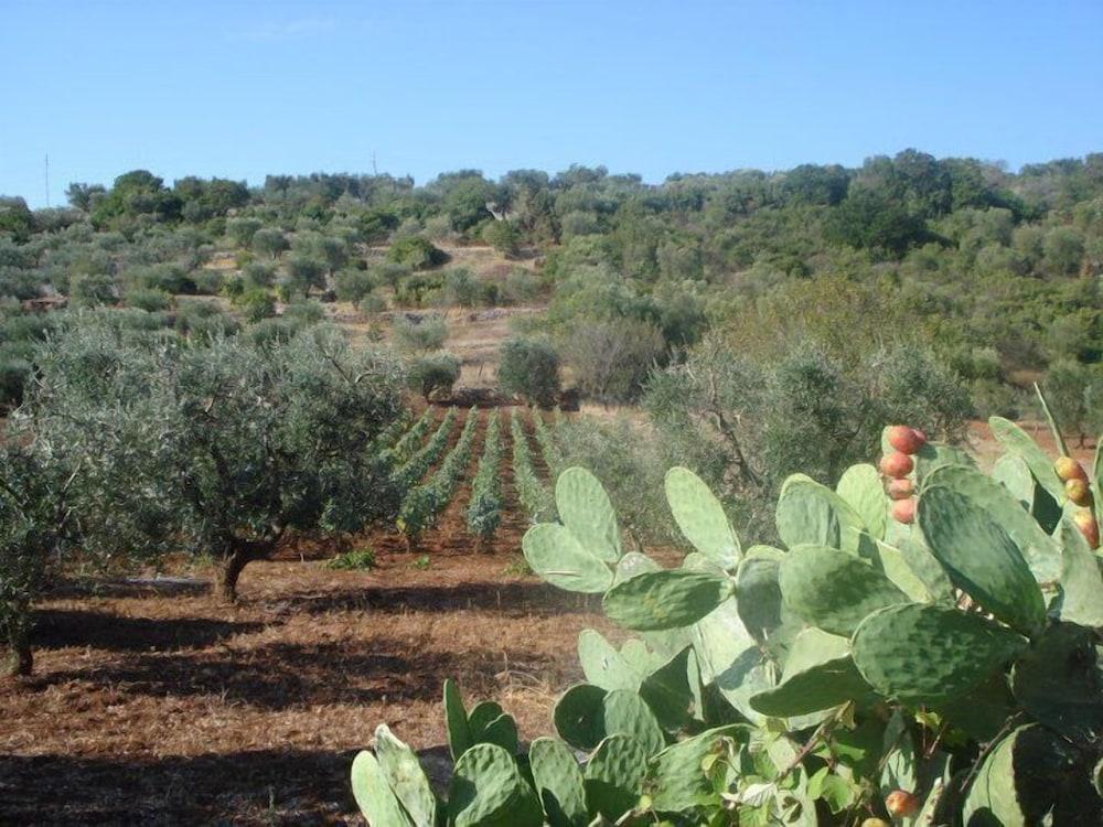 Hotel La Terrazza Del Quadrifoglio
