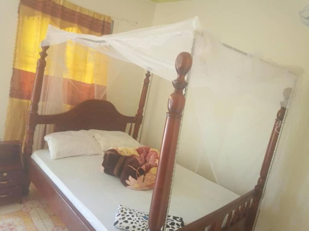 Green Oasis Guest House and Tours