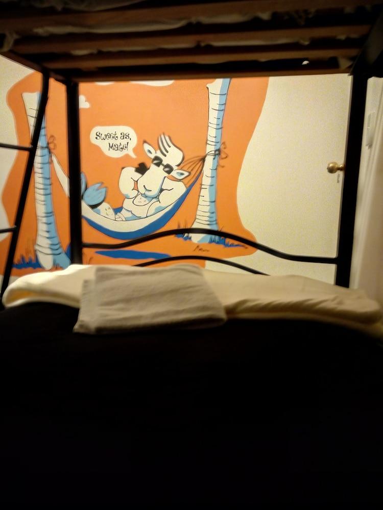 The Bouncing Lamb Backpackers