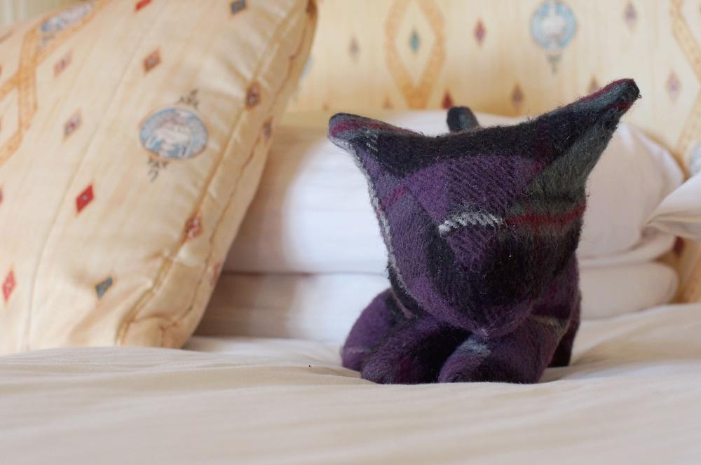 Mansfield Castle Hotel