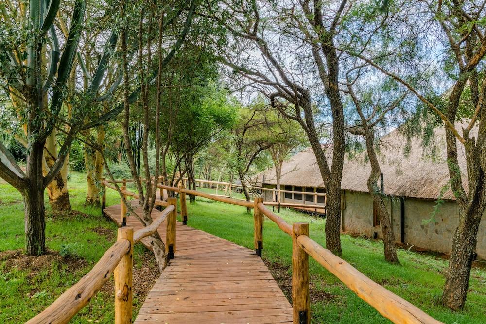 Ngorongoro Forest Tented Lodge