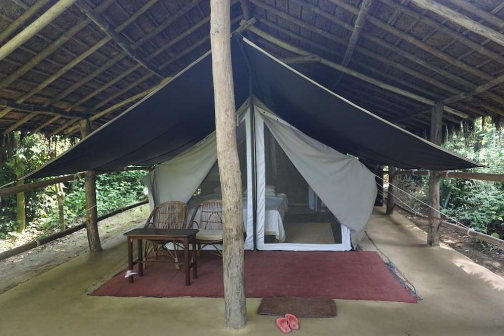 Tiger Tops Tharu Lodge