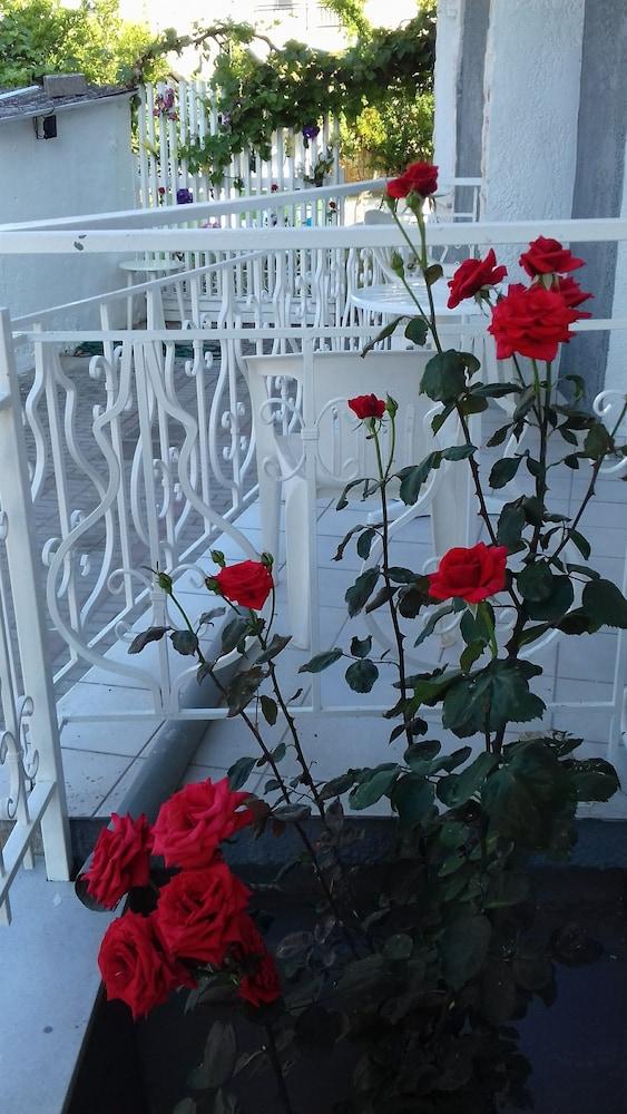 Sun Helios Garden Studios