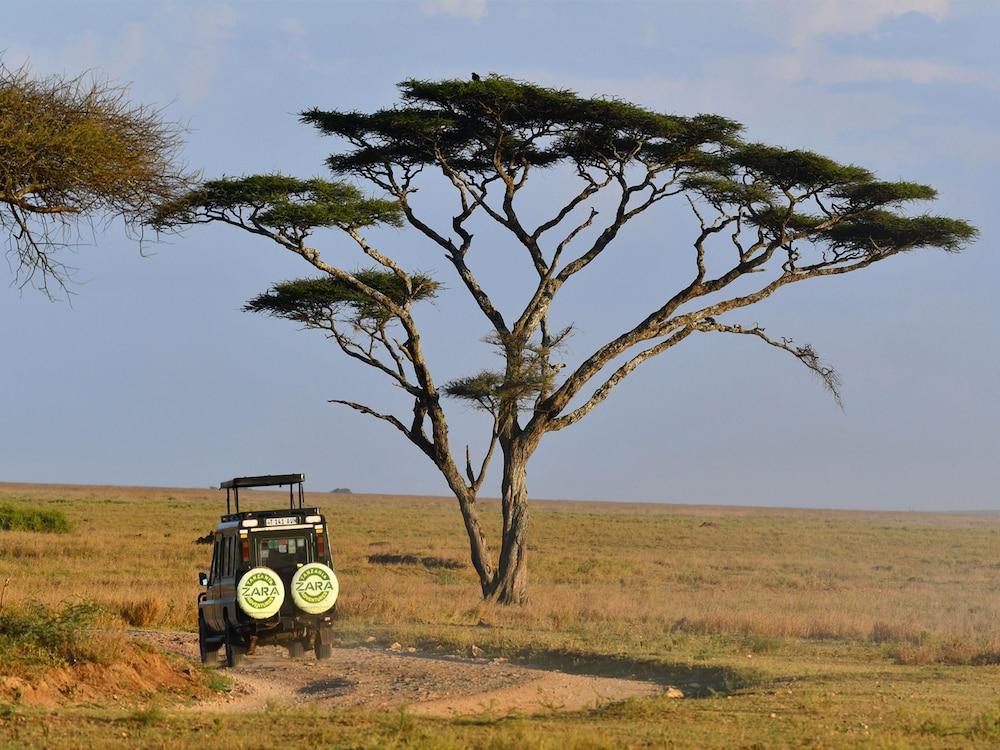 Serengeti Wild Camps