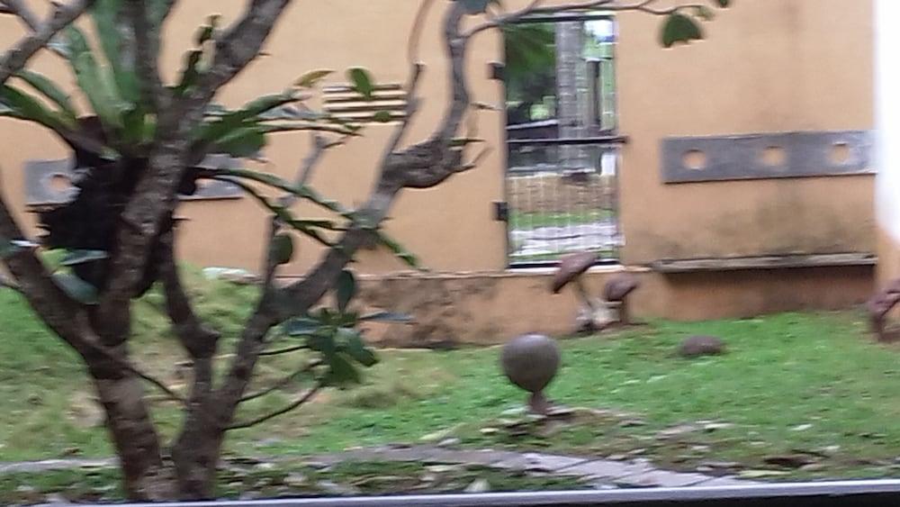 Lakeside Hybrid Villa