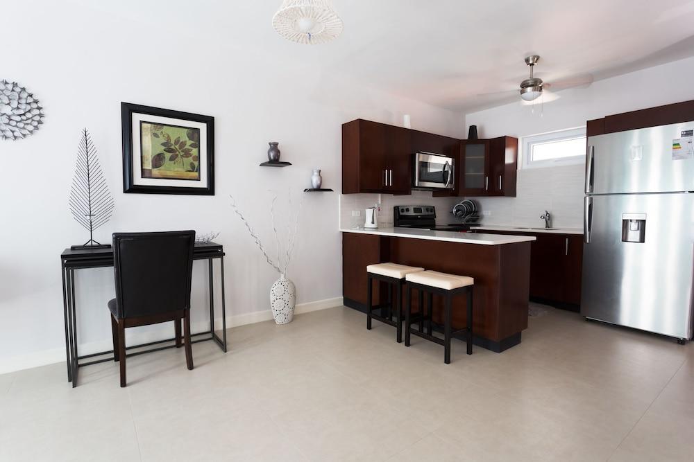 Kingston Luxury Guest Apt at Sullivan