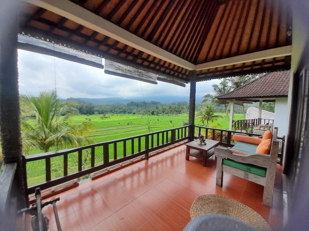 Great Mountain Views