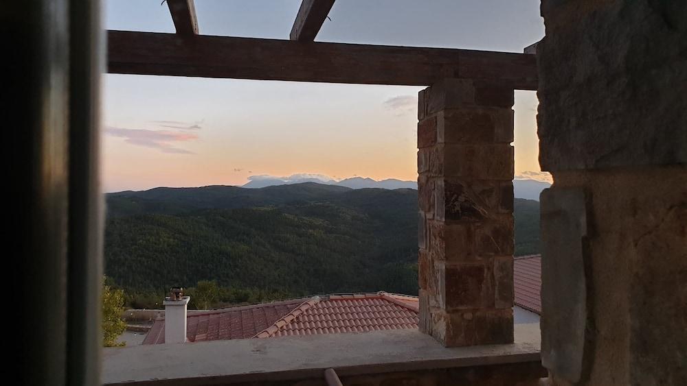 Foresta in Medias Mores