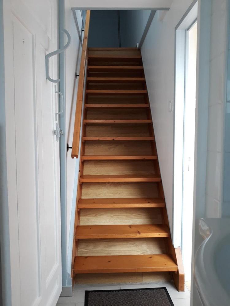 Eglantine et Chèvrefeuille